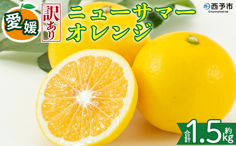 ＜【訳あり】愛媛県産 ニューサマーオレンジ 約1.5kg＞『2027年4月上旬～5月中旬迄順次発送予定』 わけあり 訳アリ ジューシー 日向夏 みかん 蜜柑 果物 くだもの フルーツ ミカン 果汁 国産 特産品 株式会社三代目みかん職人 愛媛 西予市【冷蔵】