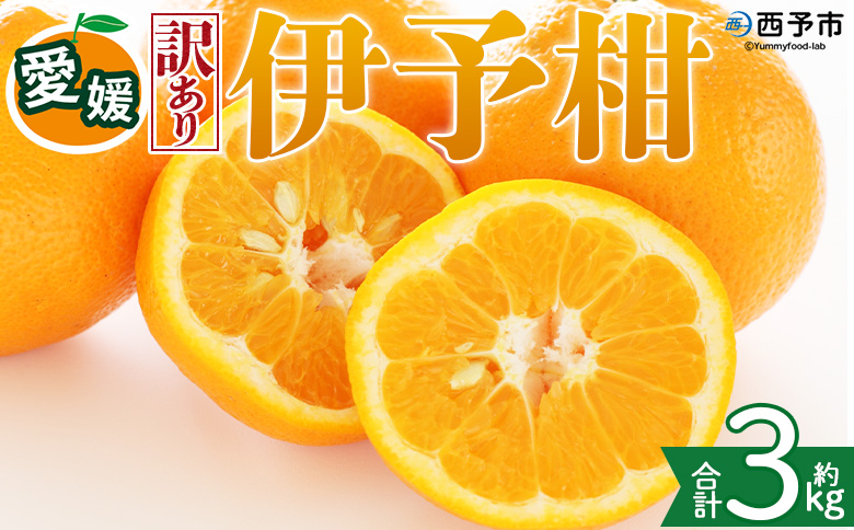 ＜【訳あり】愛媛県産 伊予柑 約3kg＞『2027年1月上旬～3月下旬迄順次発送予定』わけあり 訳アリ 果肉 いよかん ジューシー みかん 蜜柑 果物 くだもの フルーツ ミカン 果汁 国産 特産品 株式会社三代目みかん職人 愛媛 西予市【常温】