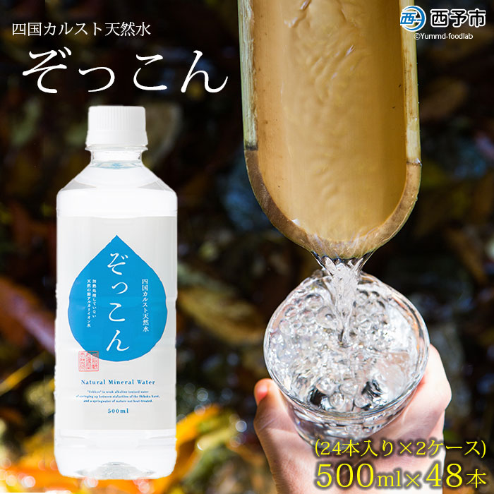 四国カルスト天然水ぞっこん 500ml(24本入り)×2ケース 計48本