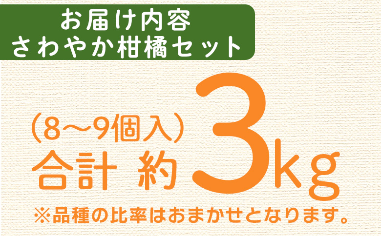 ＜愛媛県西予市産 さわやか柑橘セット 合計約3kg＞『5月～6月中旬頃迄に順次出荷予定』甘夏 河内晩柑 あまなつ ばんかん 果物 フルーツ みかん ミカン 蜜柑 食べ比べ 詰合せ 甘酸っぱい かんきつ 柑橘 特産品 夕焼け山農園 愛媛県 西予市 【常温】