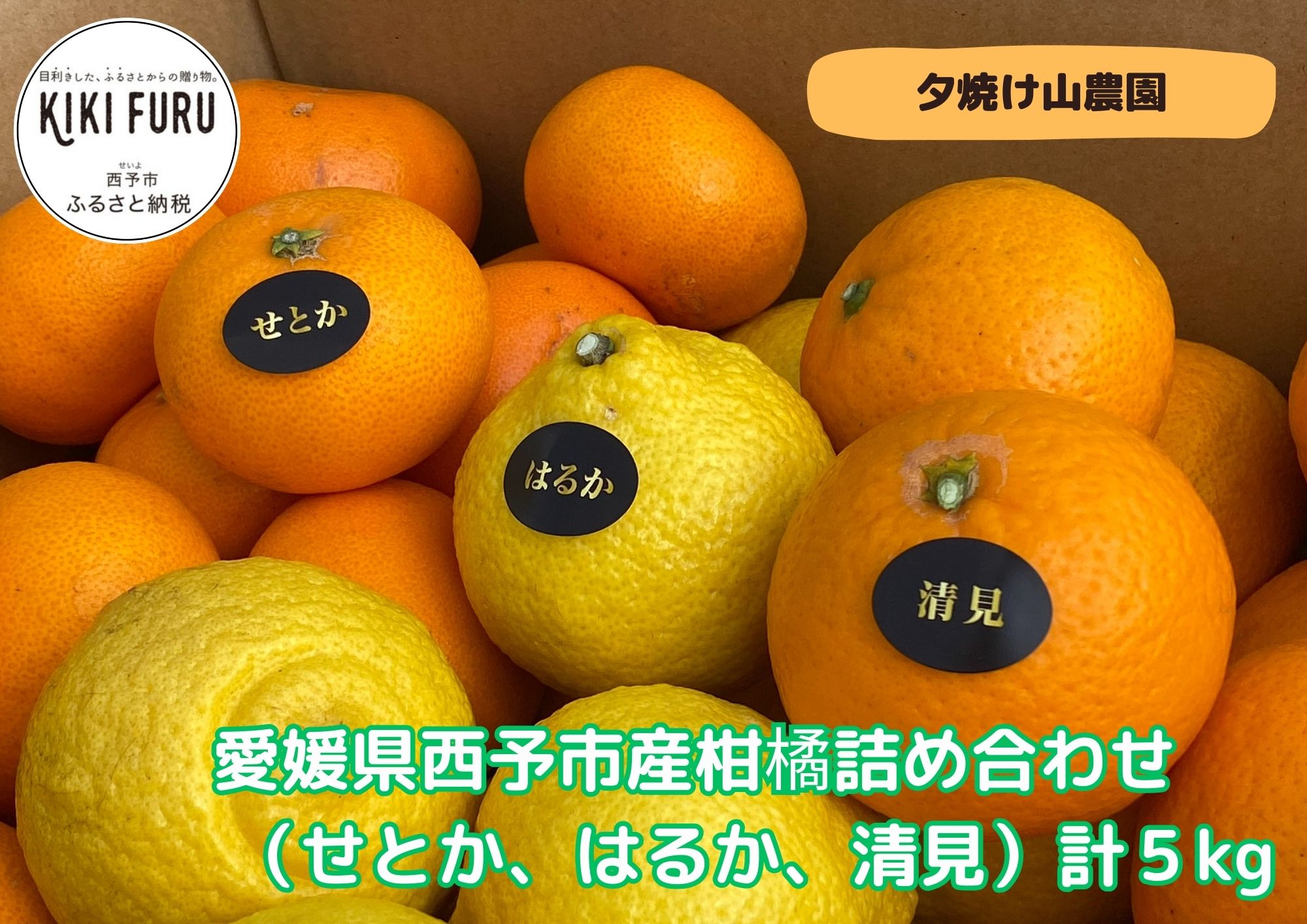 夕焼け山農園　愛媛県西予市産柑橘詰め合わせ（せとか、はるか、清見）計５kg