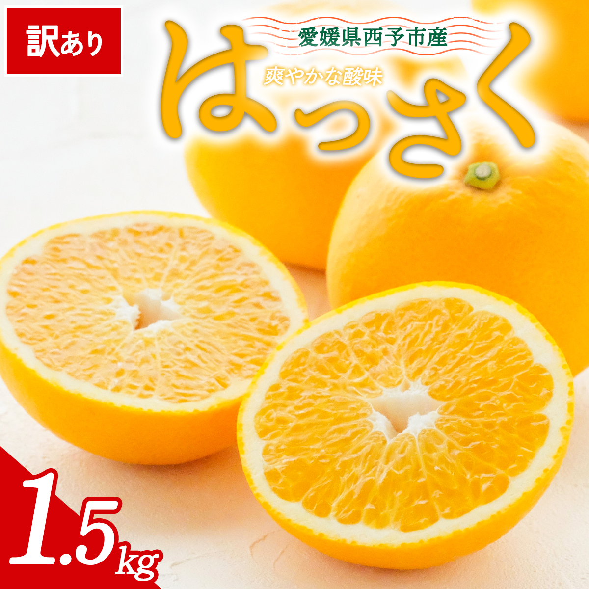 先行予約＜訳あり 愛媛県産 八朔 合計約1.5kg＞ 『2027年2月中旬以降順次出荷予定』はっさく ぷりぷり食感 爽やか 酸味 ご家庭用 ご自宅 蜜柑 果肉 果物 柑橘 フルーツ オレンジ 国産 濃厚 産地直送 ミヤモトオレンジガーデン 愛媛県 西予市【常温】