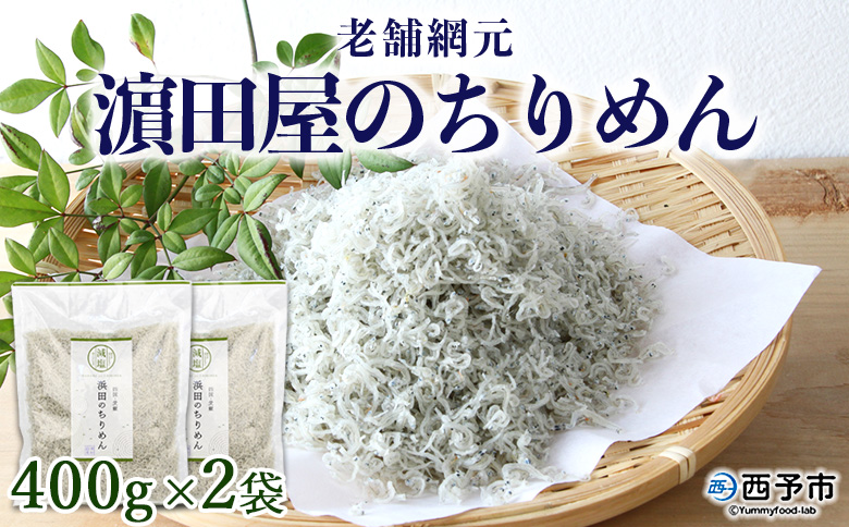 ＜老舗網元 濵田屋のちりめん 800g(400g×2袋)＞ かたくちいわし カタクチイワシ 小魚 のし対応可 お祝い 内祝い ギフト 贈答 贈り物 プレゼント カルシウム 乾物 小分け 国産 マルヨシ水産 特産品 愛媛県 西予市