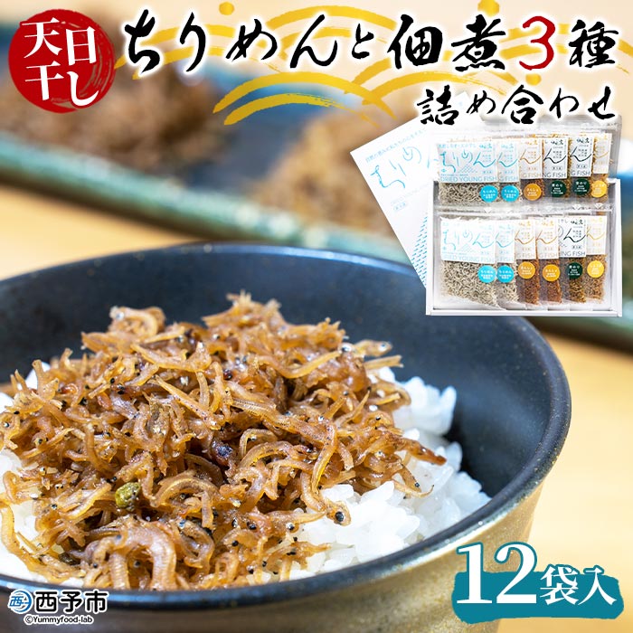 ＜天日干し ちりめん＆佃煮3種 詰め合わせ 合計12袋セット ギフト箱入り＞しらす じゃこ つくだに 無添加 実山椒 生姜 青のり 食べ比べ 愛媛県 西予市