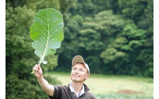 ファンケル　濃縮野菜西予市産ケール（冷凍）