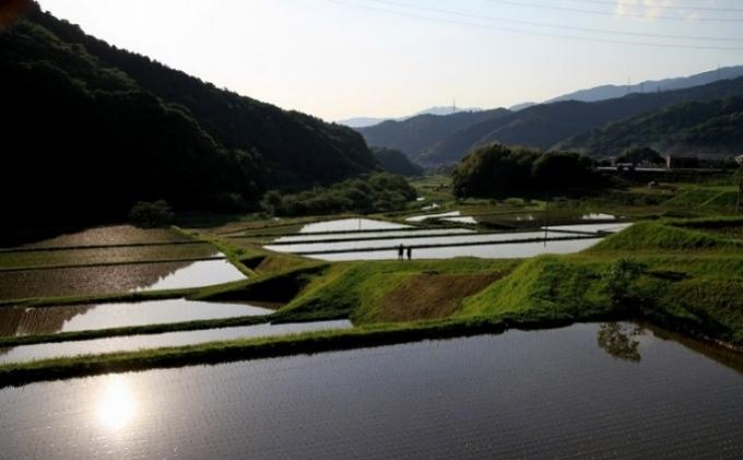 金賞米にこまる〈雨瀧一番水〉精米2kg