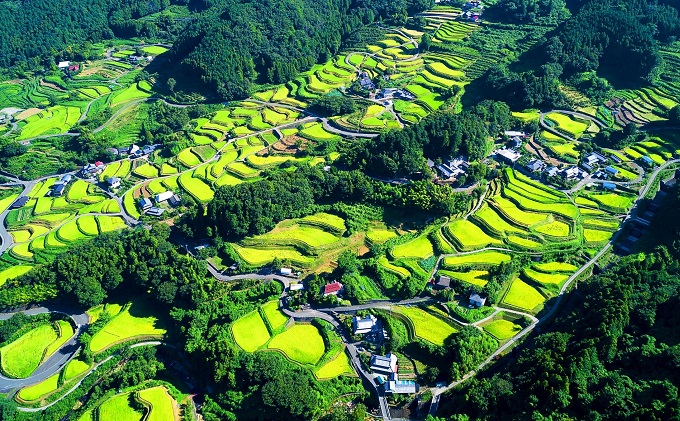 どぶろくながい  甘口・中辛・辛口（3本セット）