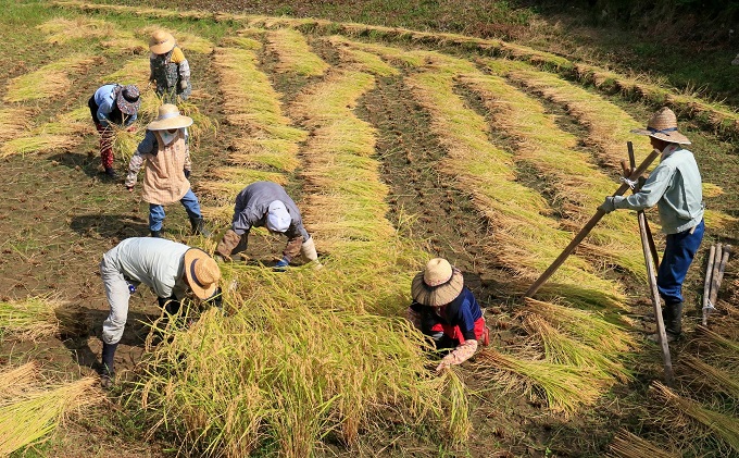 どぶろくながい  甘口・中辛・辛口（3本セット）