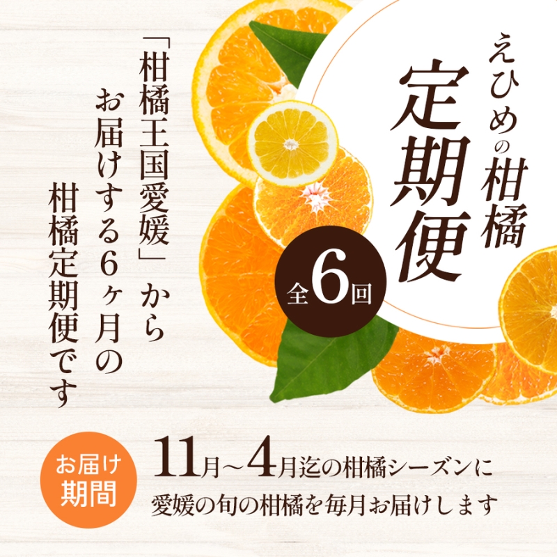 えひめの柑橘セレクト6回定期便　