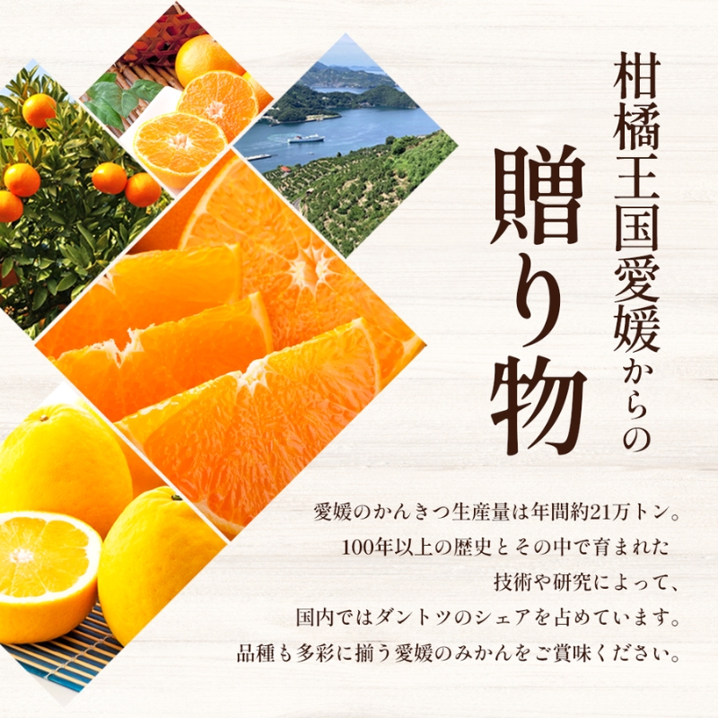 えひめの柑橘セレクト6回定期便　