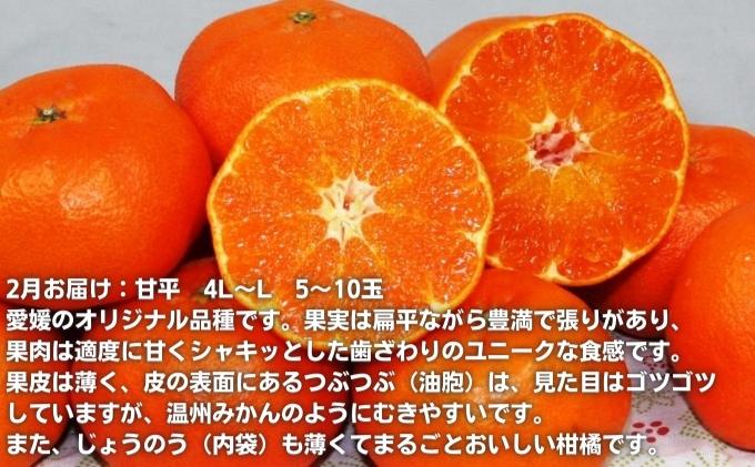 えひめの柑橘セレクト6回定期便　