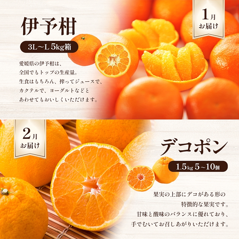 えひめの柑橘セレクト6回定期便　