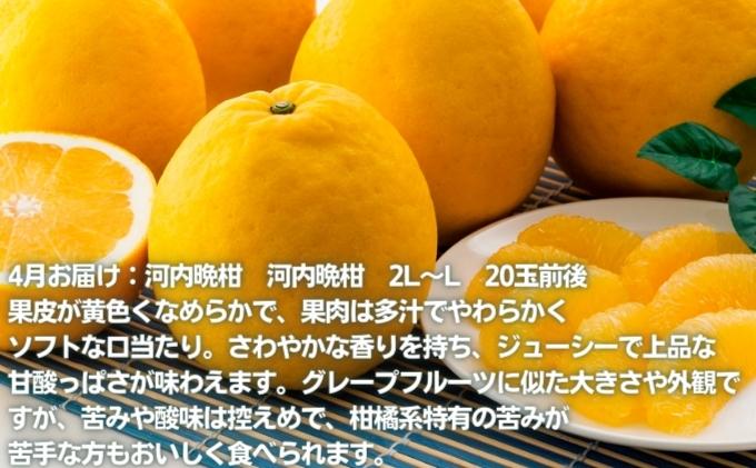 えひめの柑橘セレクト6回定期便　