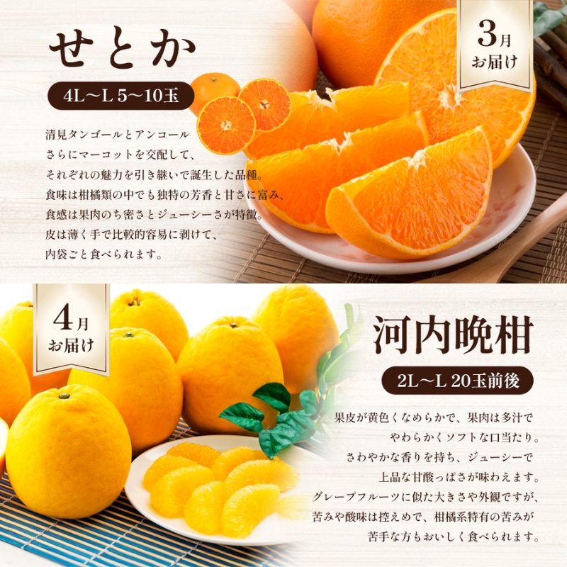 えひめの柑橘セレクト6回定期便　