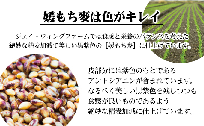 媛もち麥5kgセット＋押しはだか麦300g／もち麦 麦ごはん 雑穀