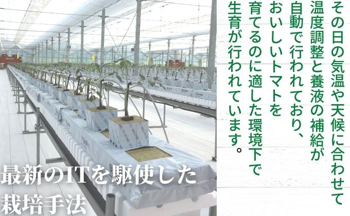 「栗林農園」カラフルミニトマトとせとかのセット