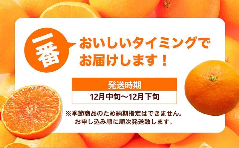 数量限定 紅まどんな 青秀3L～L（10玉～15玉）