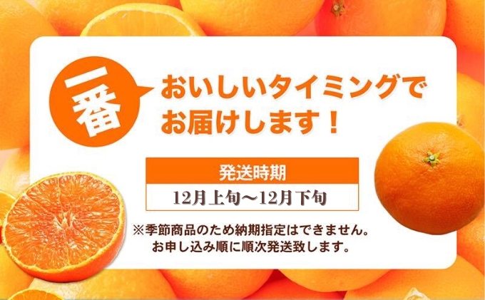 数量限定 紅まどんな　赤秀3L～L（10玉～15玉） 果物類 柑橘類 フルーツ 甘い 香り 美味しい 柑橘 プレミアム ゼリー 