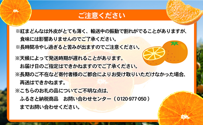 数量限定 紅まどんな　赤秀3L～L（10玉～15玉）