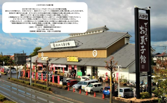 ハタダ栗タルト1本入り ハタダ 畑田本舗 タルト 栗タルト 伝統の味 四国銘菓