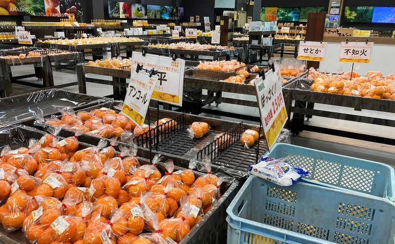 愛媛県産 紅まどんな「秀品」JA正規品 約2.7kg 数量限定30箱 12月～順次発送【柑橘 甘い 高級 極上 直送 正規みかん 愛果28号】