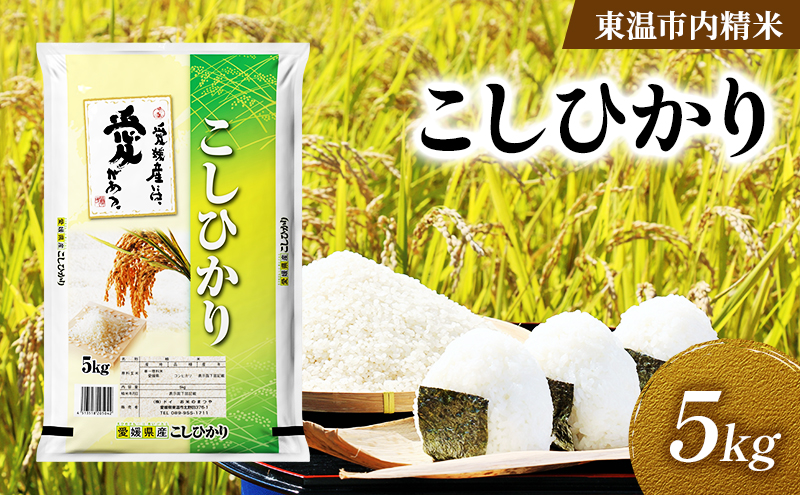 こしひかり 約5kg 東温市内精米 （愛媛県内産）数量限定 美味しい つや 高級  お米 5キロ 米 精米 白米 ブランド米 ご飯 ごはん 愛媛県 東温市