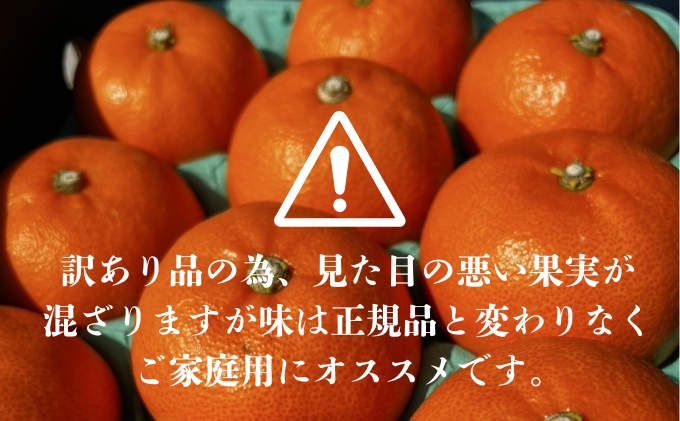 【 かんきつ 3種 定期便 】アレンユーレカ種 レモン ・ せとか ・ いよかん 各約1.5kg　ご家庭用 サイズお任せ 旬 農園直送 産地直送 フルーツ 果物 くだもの 柑橘 愛媛県 東温市