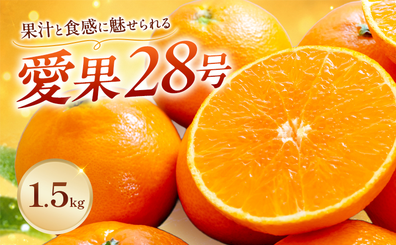 愛果28号家庭用 約1.5kg サイズお任せ　愛媛県東温市産愛果28号 東温市産 「 紅まどんな 」の同一品種（品種名： 愛媛果試28号 ） 今が旬 農園直送 みかん 人気 数量限定 先行予約 愛媛みかん かんきつ 愛媛県