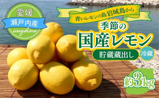 貯蔵蔵出し国産レモン約3kg(冷蔵便発送)※サイズはS玉〜2L玉のいずれか、混載[配送不可地域:離島]