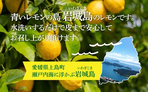 貯蔵蔵出し国産レモン約3kg(冷蔵便発送)※サイズはS玉～2L玉のいずれか、混載【配送不可地域：離島】