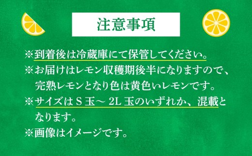 貯蔵蔵出し国産レモン約3kg(冷蔵便発送)※サイズはS玉～2L玉のいずれか、混載【配送不可地域：離島】