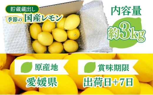 貯蔵蔵出し国産レモン約3kg(冷蔵便発送)※サイズはS玉～2L玉のいずれか、混載【配送不可地域：離島】