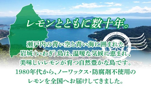 貯蔵蔵出し国産レモン約3kg(冷蔵便発送)※サイズはS玉～2L玉のいずれか、混載【配送不可地域：離島】