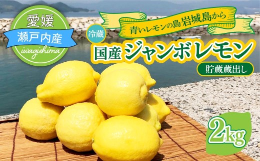 青いレモンの島　貯蔵蔵出しジャンボレモン2kg(冷蔵)【配送不可地域：離島】