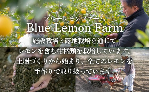 瀬戸内産 カットレモン冷凍　200g×5パック【2026年2月中旬～順次発送】【冷凍便】数量限定【配送不可地域：離島】