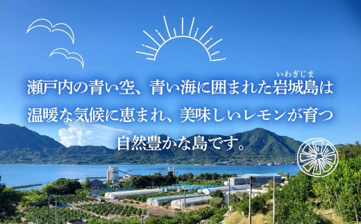瀬戸内産 カットレモン冷凍　200g×5パック【2026年2月中旬～順次発送】【冷凍便】数量限定【配送不可地域：離島】