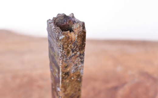 蛯吝燕辟シ 謗幄干蜈・ 蜃帙サ繧オ繝ウ繧ョ繝ェ(18cm) 縲h2-103縲1476609縲
