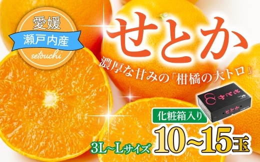 【先行受付】せとか　化粧箱　3L～Lサイズ　10～15玉　愛媛県　JAおちいまばり【1439147】