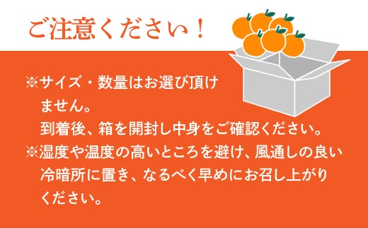 【先行受付】せとか　化粧箱　3L～Lサイズ　10～15玉　愛媛県　JAおちいまばり【1439147】