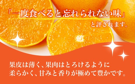 【先行受付】せとか　化粧箱　3L～Lサイズ　10～15玉　愛媛県　JAおちいまばり【1439147】