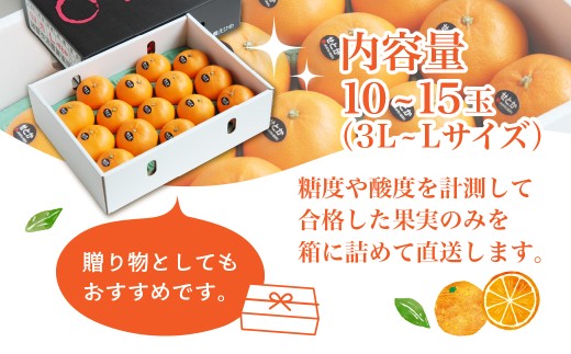 【先行受付】せとか　化粧箱　3L～Lサイズ　10～15玉　愛媛県　JAおちいまばり【1439147】