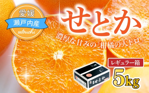 【先行受付】せとか　レギュラー箱　5kg　愛媛県JAおちいまばり【配送不可地域：離島】