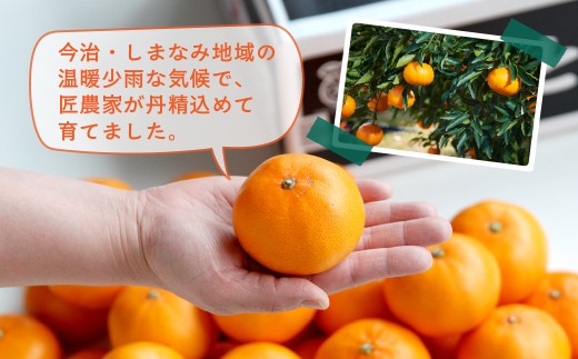 ãå
è¡åä»ãããšããã¬ã®ã¥ã©ãŒç®±ã5kgãæåªçJAãã¡ããŸã°ããé
éäžå¯å°åïŒé¢å³¶ã