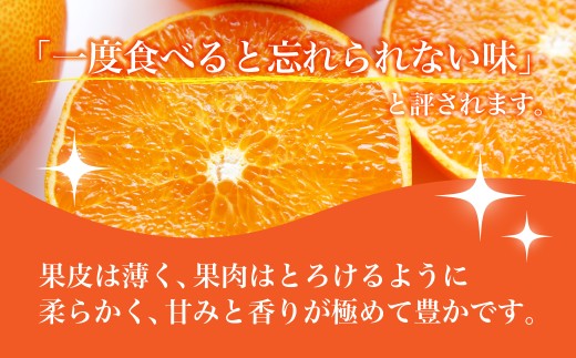 ãå
è¡åä»ãããšããã¬ã®ã¥ã©ãŒç®±ã5kgãæåªçJAãã¡ããŸã°ããé
éäžå¯å°åïŒé¢å³¶ã