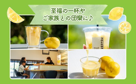 愛媛　ブルーレモンファームのレモン果汁　720ml　1本