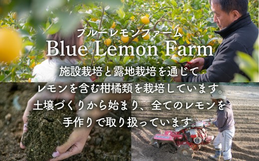 愛媛　ブルーレモンファームのレモン果汁　720ml　1本
