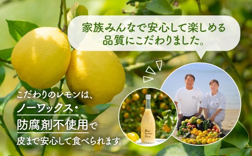 愛媛　ブルーレモンファームのレモン果汁　720ml 3本
