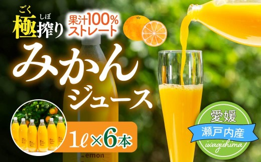 愛媛　ブルーレモンファームのごくしぼりみかんジュース　1L　6本