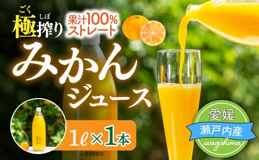 愛媛　ブルーレモンファームのごくしぼりみかんジュース　1L　1本