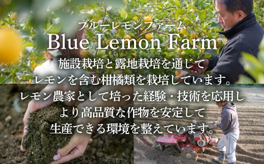 愛媛　ブルーレモンファームのごくしぼりみかんジュース　1L　1本